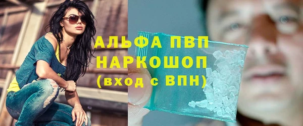 МДПВ Бородино
