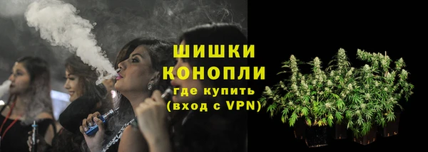 МДПВ Бородино