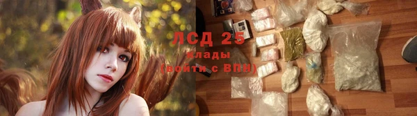 МДПВ Бородино