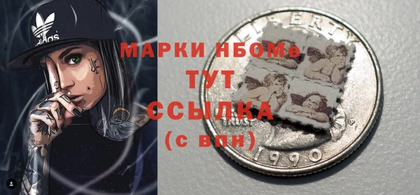 МДПВ Бородино