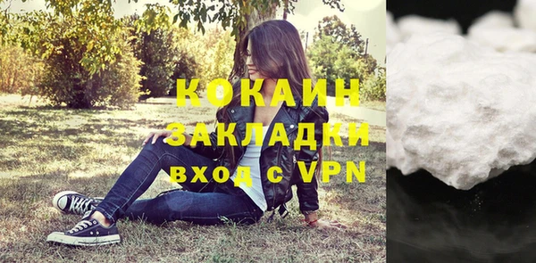 МДПВ Бородино