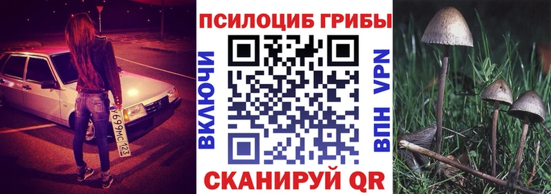 Псилоцибиновые грибы MAGIC MUSHROOMS Бутурлиновка